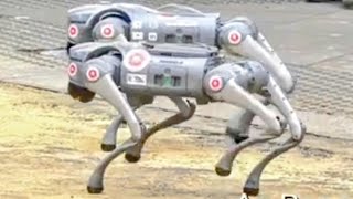 KBV-1229 Robot Dogs Take Part in the 2024 Lord Mayor 's Show. Absolutely Amazing.