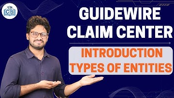 Guidewire Intro to Types of Entities | Entities Types Guidewire | Guidewire Tutorial | CyberBrainer