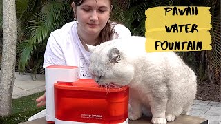 WOW! This PAWAii WATER FOUNTAIN is amazing for your pets!