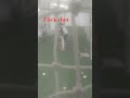 practice at indoor nets #batting #cricket