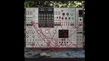 2samplers, looper, looping delay  #vcvrack