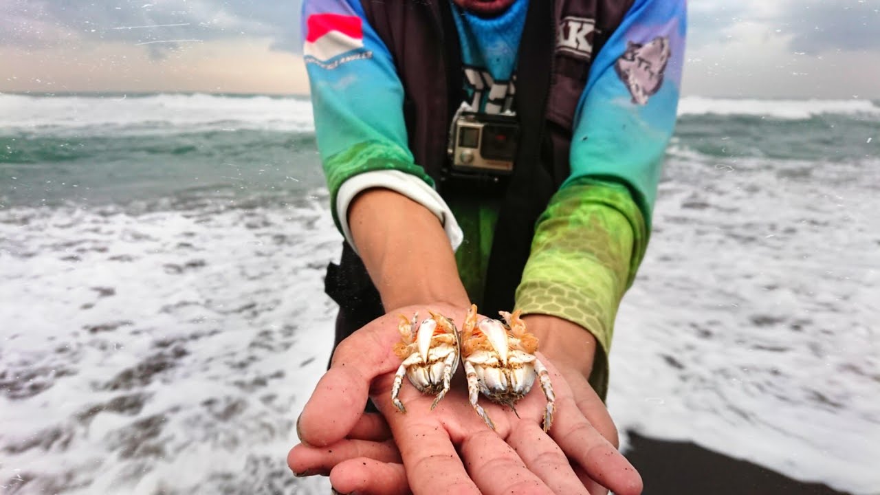 MUDAH!!! MENCARI UMPAN UNTUK MANCING DI PANTAI