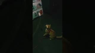 Httpsyoutubecomshortsx35tsgnqqmefeatureshared