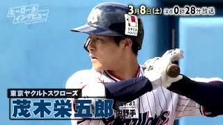 ヤクルトスワローズ 楽天イーグルス 茂木栄五郎 3点セット ヤクルトスワローズ 楽天イーグルス 茂木栄五郎 3点セット 東京