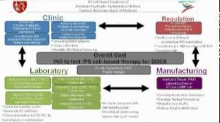 Genetic Skin Disease (EB): Optimizing Embryonic Stem Cell Differentiation Protocols