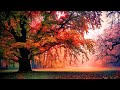 Autumn - Igor Dvurechensky