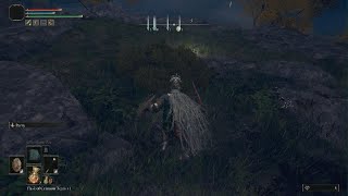 Famous ELDEN RING Stormhill Shack Rare Bug... Profile