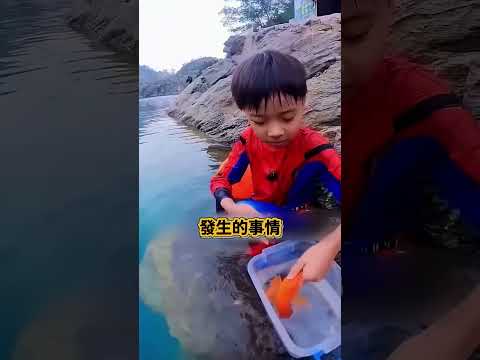 萬物皆有靈!蜘蛛人小弟淚別放生,大魚竟「瘋狂游回」死活不肯走?這畫面徹底打破人類認知!????????❤️