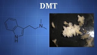 Dimethyltryptamine (DMT): What You Need To Know