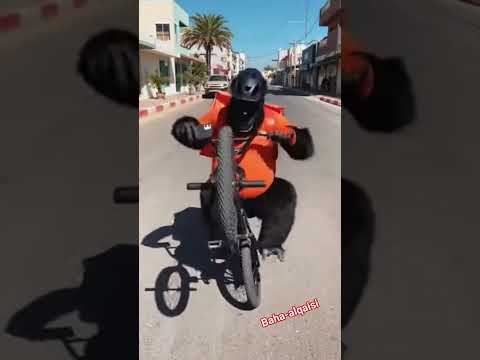 مين الي لغى الطلب     اكسبلور    