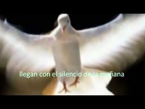 la paloma