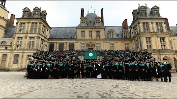 What GPA do you need for Insead?