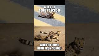 When your going to school vs leaving school #relatable