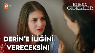 Banu, Kaderden Iliğini Istiyor Kırgın Çiçekler