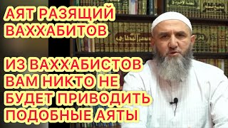 Аят разящий бестолковый ум ваххабистов Подобное они вам не будут приводить. Какие убеждения у многоб