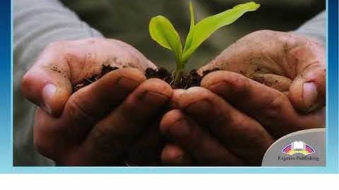 The Promised Land (Video) Excel 9 Module 5