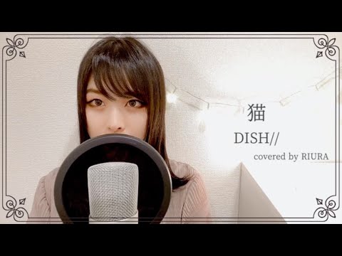 猫／DISH//【歌ってみた】【女性キー+5】（covered by RIURA）