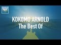 Kokomo Arnold - The Best Of (Full Album / Album complet)