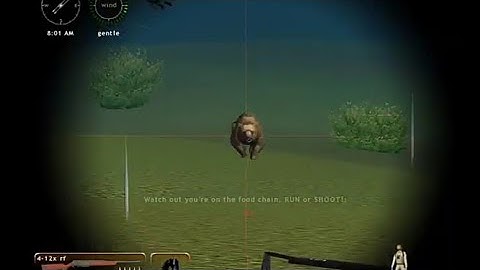 Bear hunting (hunting unlimited 2010)