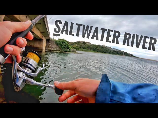 Fishing a Saltwater River for Anything that Bites! 