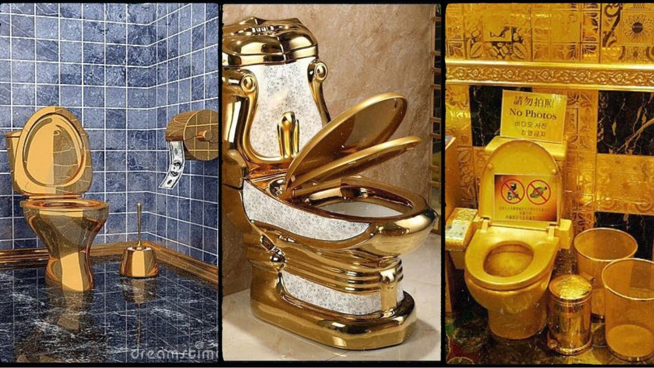 Top 35 Gold Toilets Amazing Gold Toilets in the World Luxury at Its