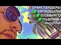 Зоопарк в Майами| Клуб на Майами-бич | Шоу трансгендеров | VLOG 18