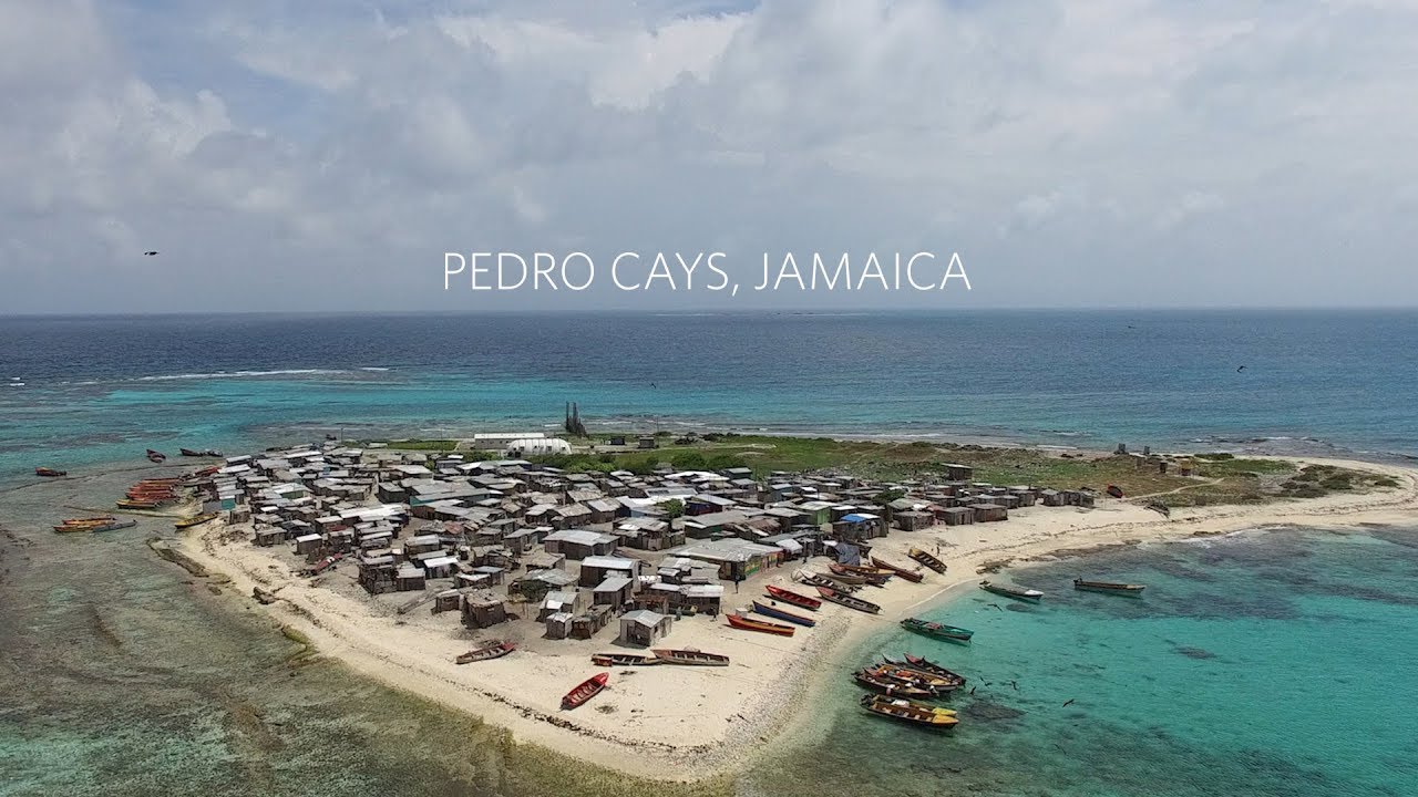Pedro Cays Jamaica Map Protecting Jamaica's Fishing Banks: Pedro Bank's First Female Warden -  Youtube