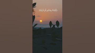 لا تحزن إن الله معنا / من سورة التوبة / القارئ عبد الرحمن مسعد #ارح_قلبك