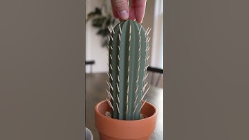 I made a Cactus Toothpick Holder