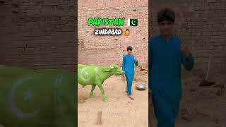 Pakistani Street Goes Crazy for Azadi Cow 🔥🐄 | Independence Day 🇵🇰 #IndependenceDay #pakistanzidabad