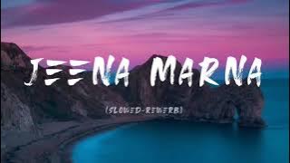 Jeena Marna (slowed    reverb) |SOUL VIBEZ