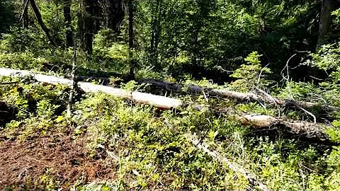 Mock Community Scrape