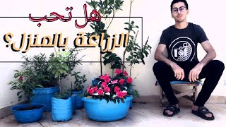 الزراعة المنزلية??طريقة الزراعة في سطح المنزل أو في البلكونه agriculture domestique