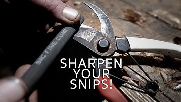 How to Sharpen Secateurs ✂️