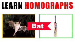 Learn Homographs | General Knowledge (GK) Video | Basic Educational video | Preschool Learning