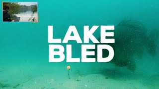 Carp fishing at Lake Bled with live underwater runs - Trailer