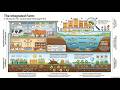 "Grow More, Feed More 🌾 | NCERT Explained" "Chapter 12 Explained | Food Resource Hacks"
