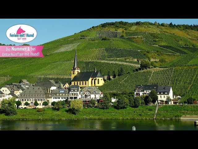 Traumurlaub Mosel: Urlaub mit Hund an der Mosel! 3 sddefault