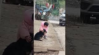 The little girl covers dog's ears to avoid the scare of fireworks in Chinese New Year celebration...