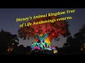 Awakenings! is back at Animal Kingdom Park.
