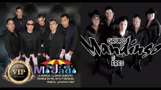 Grupo Mojado y Mandingo video