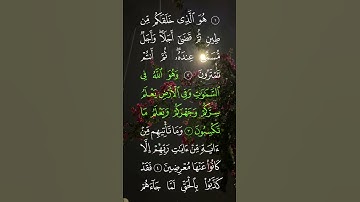 #احمد_العجمي #سورة_الأنعام