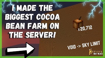 MAKING THE BIGGEST COCOA BEAN FARM ON THE SERVER!! -- Hypixel Skyblock