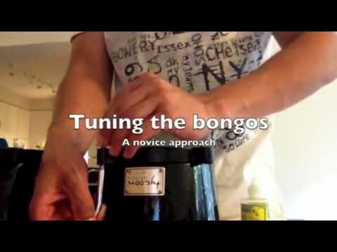 how-to-tune-the-bongos