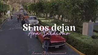 Ara Saldivar— Si Nos Dejan (Letra)