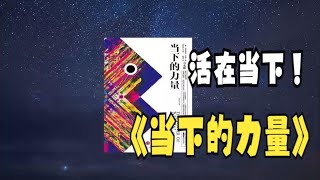 【有声书】《当下的力量》 埃克哈特·托利著 p01 导读 【有声书】《当下的力量》 埃克哈特·托利著 p01 导读