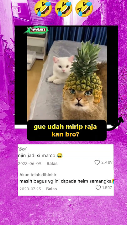 pasrah aja lah #shorts #meme #videolucu #protawa