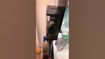 Easy sump for aquarium