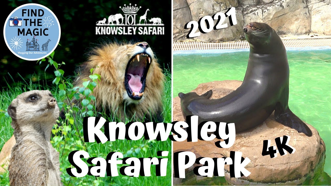 knowsley safari youtube