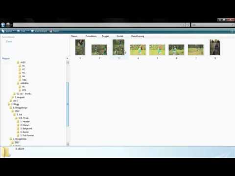 Hur jag sorterar mina filer och mappar